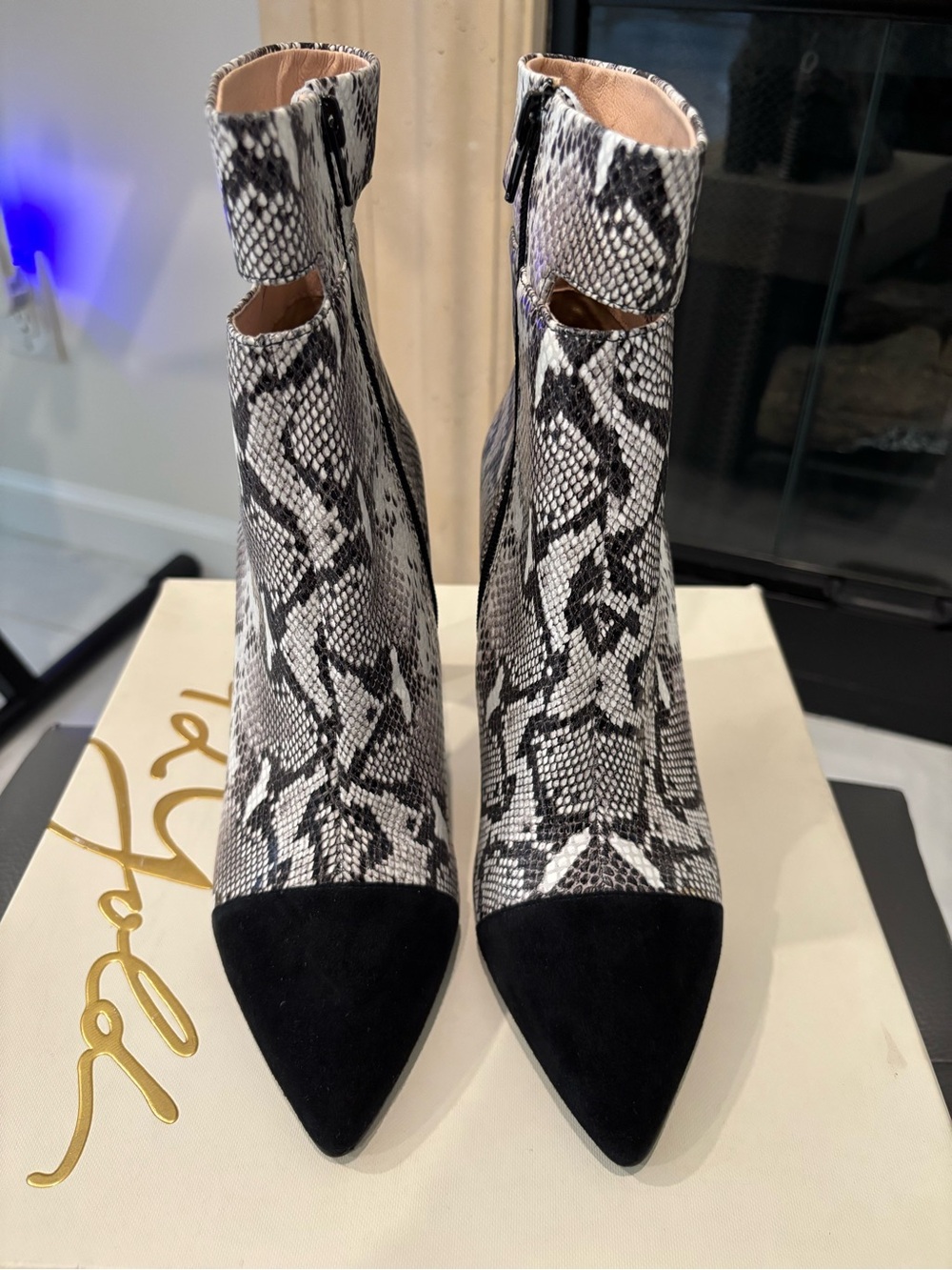 Women's Snake-Print Ankle Boot with Black Suede Toe